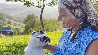 Удивительная жизнь бабушки на вершине горы. Сельская жизнь в Карпатах