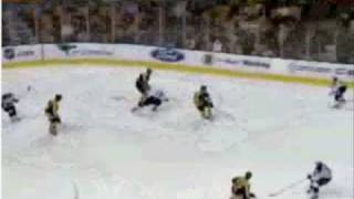 Tim Thomas tribute