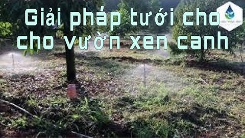 Vườn Xen Canh Nên Chọn Giải Pháp Tưới Nào ?
