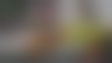 Ramee Reacts to Vinny and Zolo