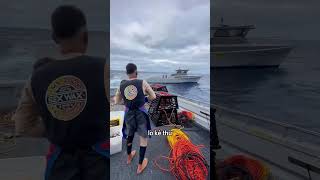 Tại sao ngư dân lại ném cá vào nhau 😳