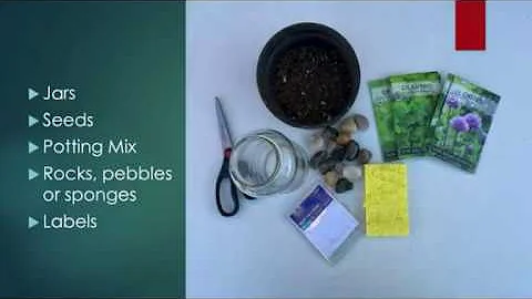 Mason Jar Herb Garden