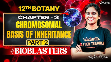 12th Botany | CH 3 Chromosomal Basis of Inheritance Part 2 | TN State Board | Asha Ma