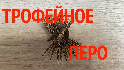 Как найти 