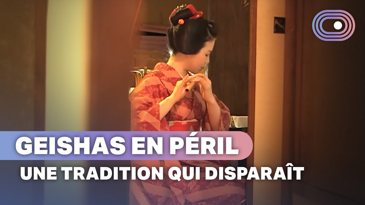 Les geishas de Kyoto un art traditionnel menac 