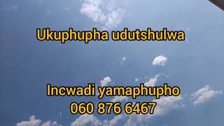 Ukuphupha udutshulwa | Izincazelo zamaphupho