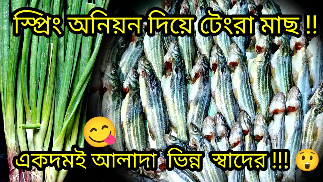 “Spring Onion দিয়ে টেংরা মাছের ঝোল ? 😲 স্বাদেও অসাধারণ, গুণেও ভরপুর!”