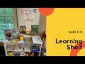 Learning Shelf ages 5-10 Homeschool: June 2021