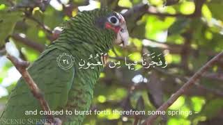 Surah Yaseen( Full hd Video )❤️
