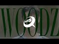 Welcome to my baverse  ep01 woodz