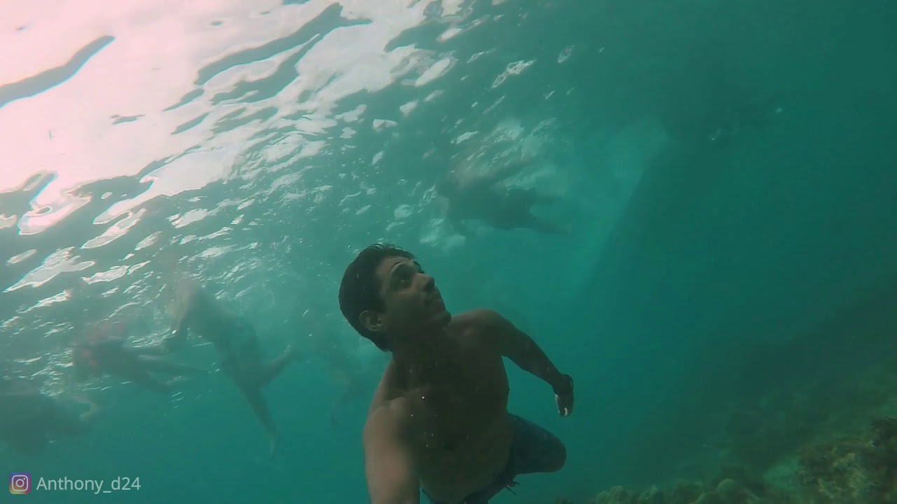 Snorkeling at Bayahibe - Dominican Republic - YouTube