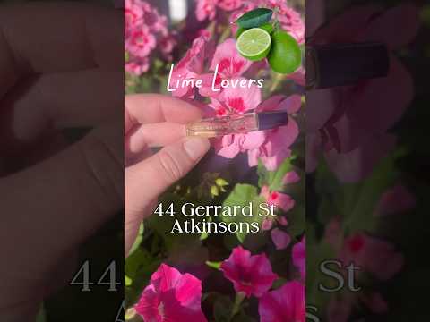        44      
