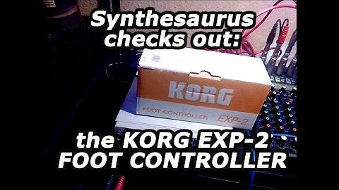 🎹 Korg Foot Pedal EXP-2 first check by Synthesaurus