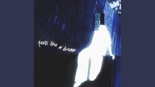 feels like a dream