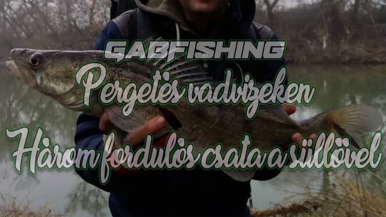 Háromfordulós csata a Süllővel -GabFishing pergetés vadvizeken-38.rész Pergetés süllőre gumihalakkal