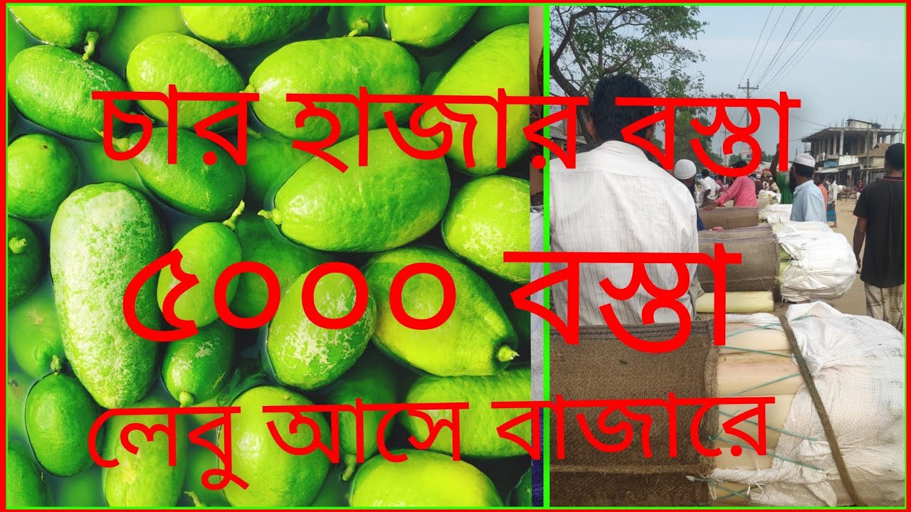 ২০,ফেব্রুয়ারি বাংলাদেশের মধ্যে এত বড় লেবুর বাজার কোথাও দেখি নেই এনায়েতপুর বাজার ফুলবাড়িয়া ময়মন