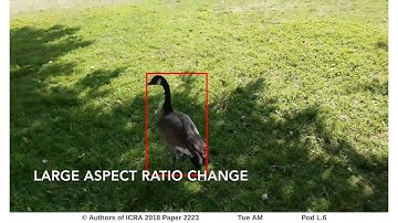 Re3: Real-Time Recurrent Regression Networks for Visual Tracking of Generic Objects