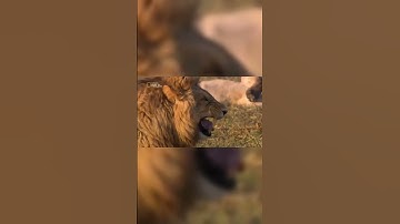 Easiest Kill Of All Time🔥 #codm #shorts #gaming