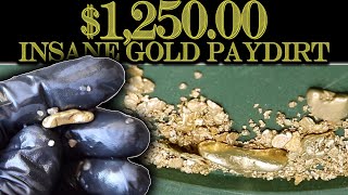 $1,250.00 Bag of Dirt has HUGE Gold Nuggets!