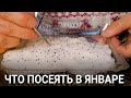 ЧТО ПОСЕЯТЬ В ЯНВАРЕ