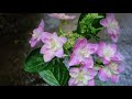 明日へ(new version 小田純平