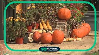 Is there a chance for a come back for canceled Halloween event in Bordentown, New Jersey