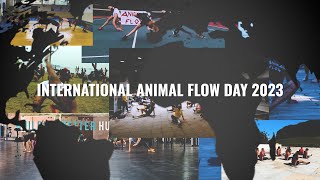 Highlights: International Animal Flow Day 2023
