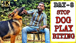 Quickest Way To Stop Puppy / Dog Play Biting  | German Shepherd Play Biting Problem (Hindi)