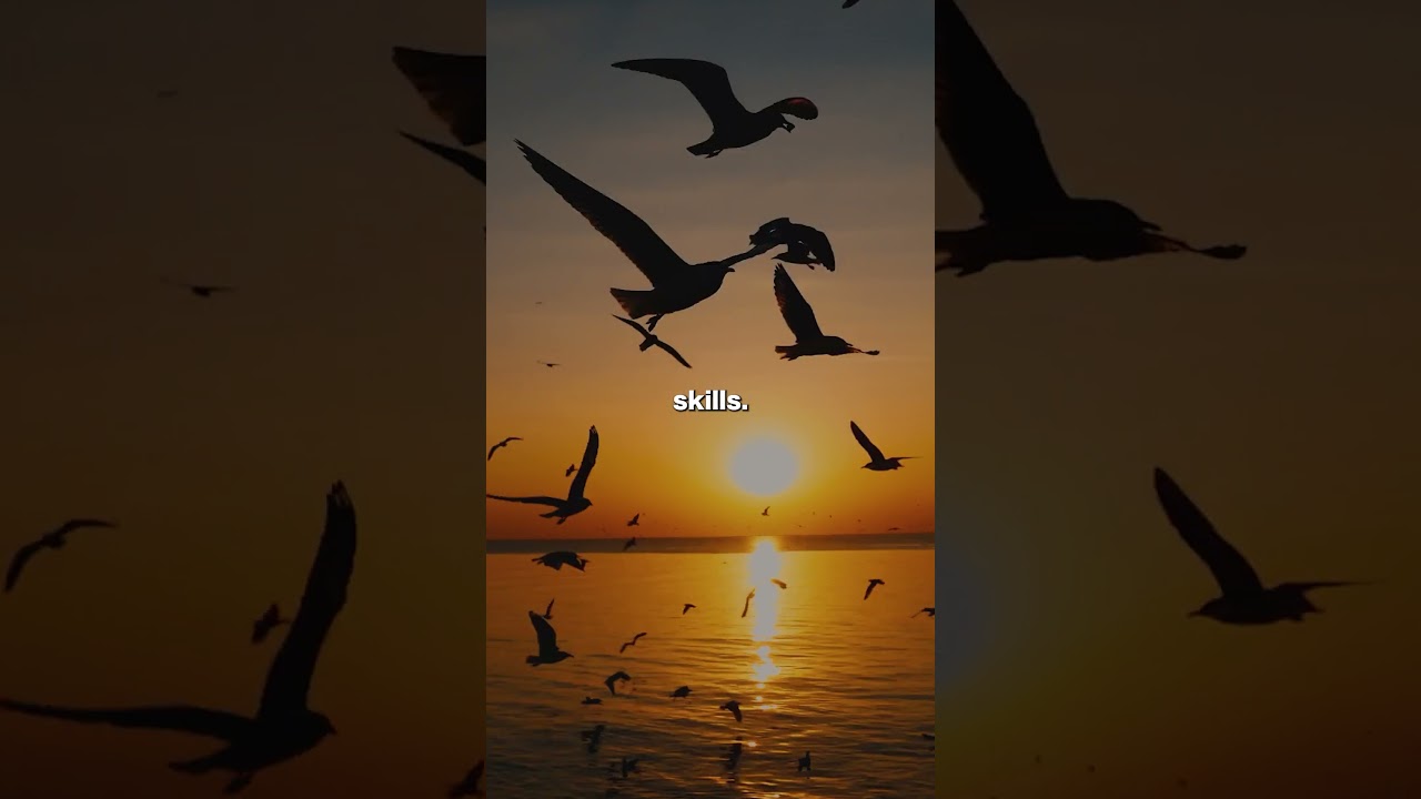 Mel Robbins - Spec Edit