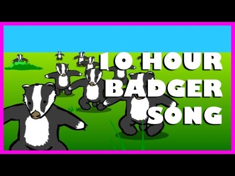 Badgers | 10 Hours