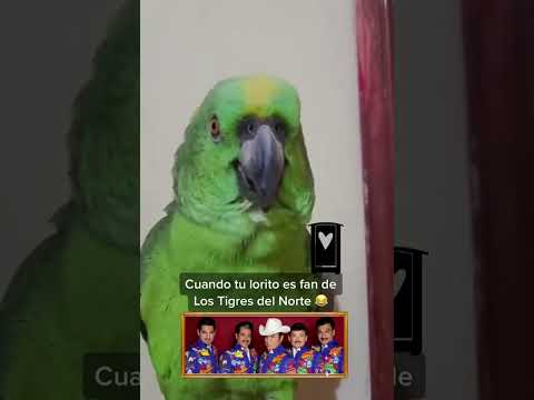 La Puerta Negra