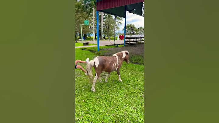 Me monte un pony y casi me bota 😂 #shorts #funny #viralshorts #youtube #viralvideo #trending