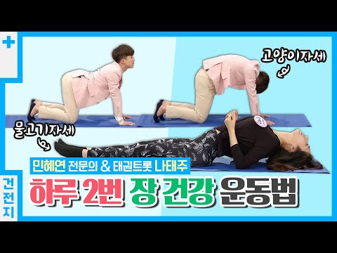 장 건강 운동법｜고양이 자세｜물고기 자세｜가정의학과 <strong>민혜연</strong> 전문의 &amp;amp; 태권트롯 나태주