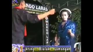 Tayub Margo Laras | Podang Kuning - Gubuk Asmoro | Live in Banjardowo