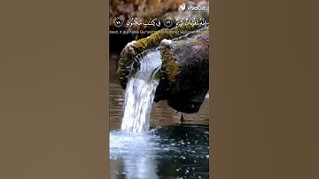 ﴿فلا أقسم بمواقع النجوم ﴾ القارئ حاتم المالكي