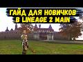 РУКОВОДСТВО ПО ИГРЕ! ГАЙД ДЛЯ НОВИЧКОВ в Lineage 2 Main 2026.