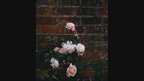 القارئ يوسف الشويعي || سورة الإنسان || Surah Al-Insan || Yousef Alshoaey