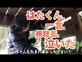 【釣りよか】【山復興】天国のおっちゃん喜んでくれるかな【切り抜き】