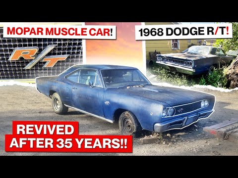 Best Junkyard Find