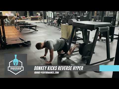 Donkey Kicks on Reverse Hyper