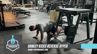 Donkey Kicks on Reverse Hyper