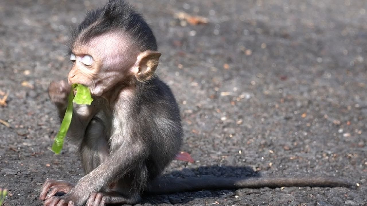 Жизнь трудна, чтобы выжить, нужны борьба и тяжелая работа
