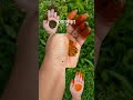Jetuka❤️জেতুকা#viral #bihu #style #youtubeshorts