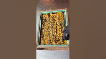 Scrubby Coffee Soap 🤎 #soapmaking #soap #handmadesoap #soaps #soapmaker #soapbars #cpsoap #soaping