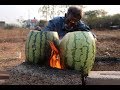 Watermelon  BUTTER CHICKEN / Daddy / Village food factory