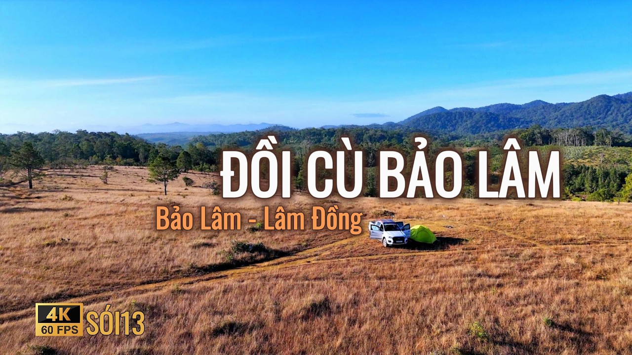 [Lâm Đồng] ĐỒI CÙ BẢO LÂM: Camping khám phá cánh đồng cỏ khô cận tết âm lịch 2026