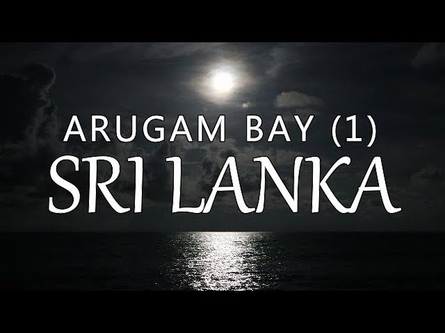 Arugam Bay – Part 1, Sri Lanka (Leave to Roam Sri Lanka Ep 15)