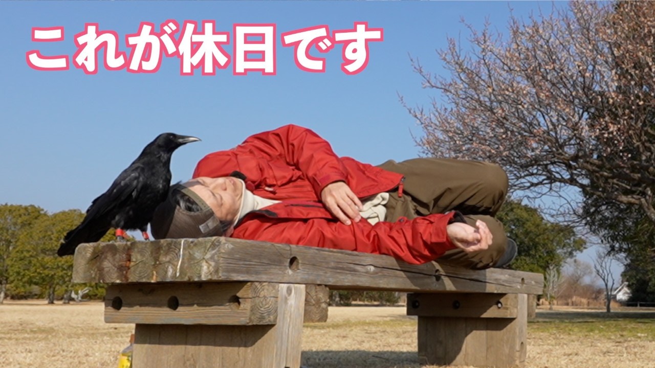 [平城宮跡でのんびり]頭の上にカラスがいる休日