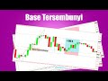 Tradera...How to Earn Residual Income and Trade Forex