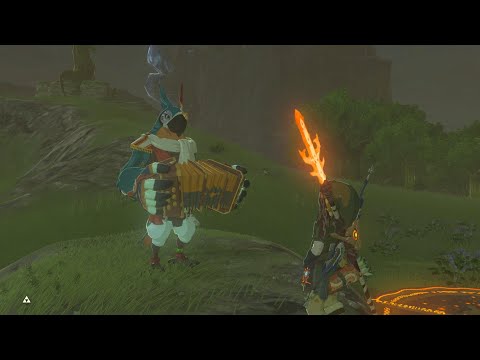 Video: Zelda - Mezza Lo, Crowned Beast Quest Un Senās Trifecta Izmēģinājumu Risinājums Savvaļas Elpā